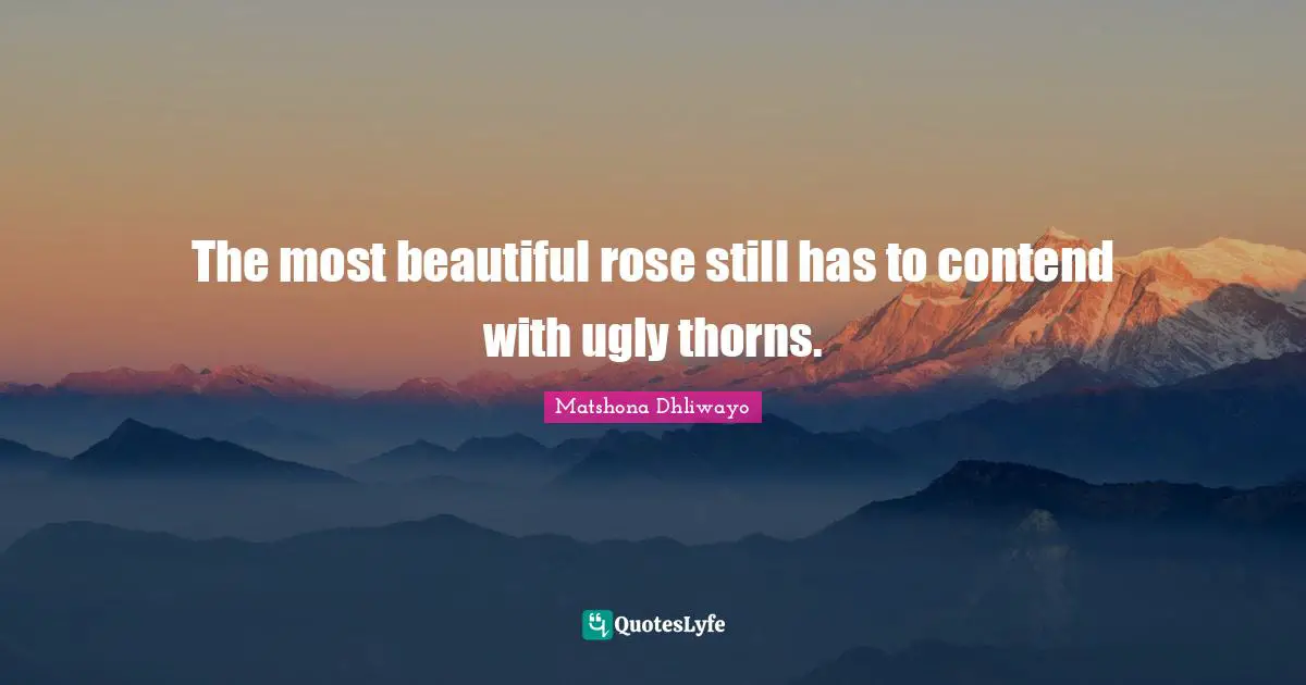 The most beautiful rose still has to contend with ugly thorns.