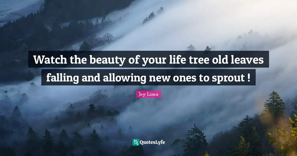Watch the beauty of your life tree old leaves falling and allowing new ones to sprout !