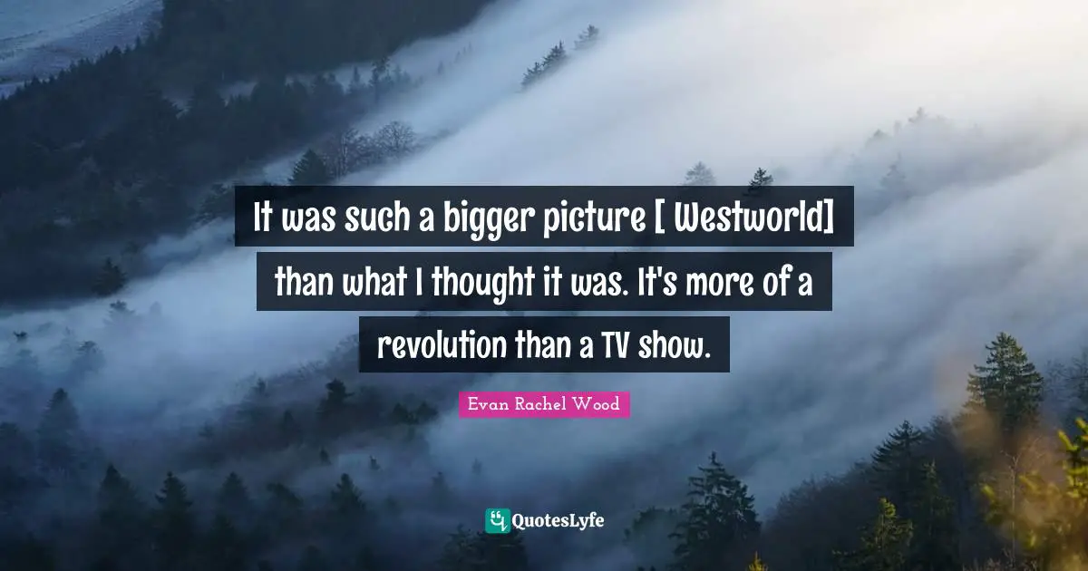 Bigger Picture Quotes: "It was such a bigger picture [ Westworld] than what I thought it was. It's more of a revolution than a TV show."
