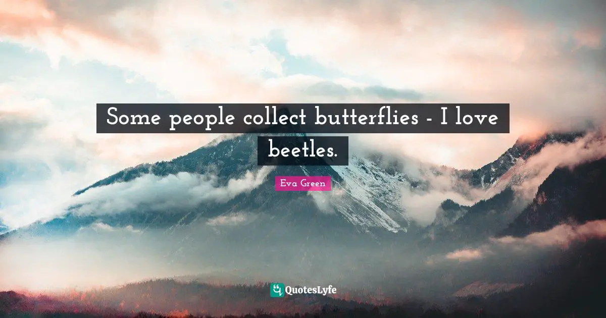 Some people collect butterflies - I love beetles.