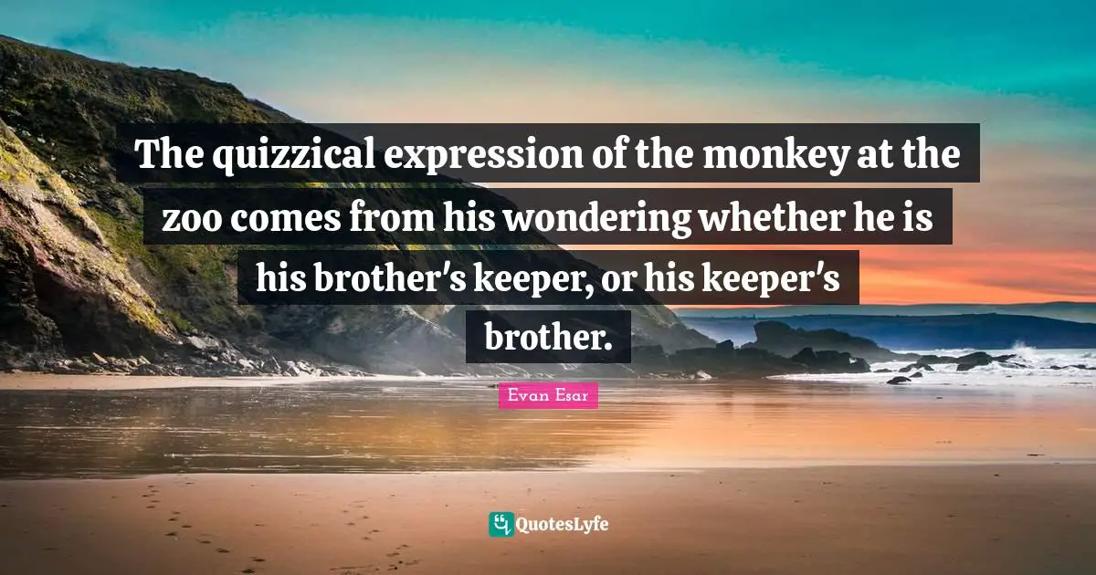 The quizzical expression of the monkey at the zoo comes from his wondering whether he is his brother's keeper, or his keeper's brother.