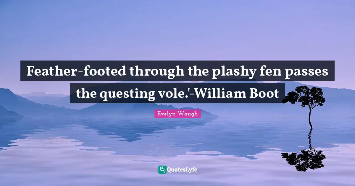 Feathers Quotes: "Feather-footed through the plashy fen passes the questing vole.'-William Boot"