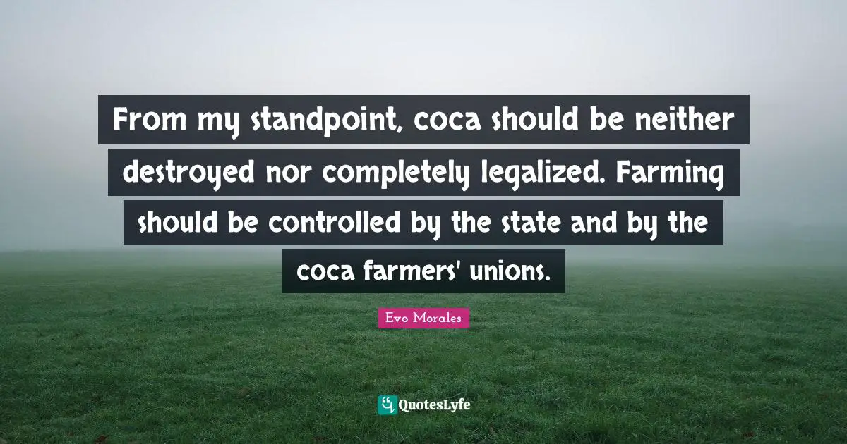 From my standpoint, coca should be neither destroyed nor completely legalized. Farming should be controlled by the state and by the coca farmers' unions.