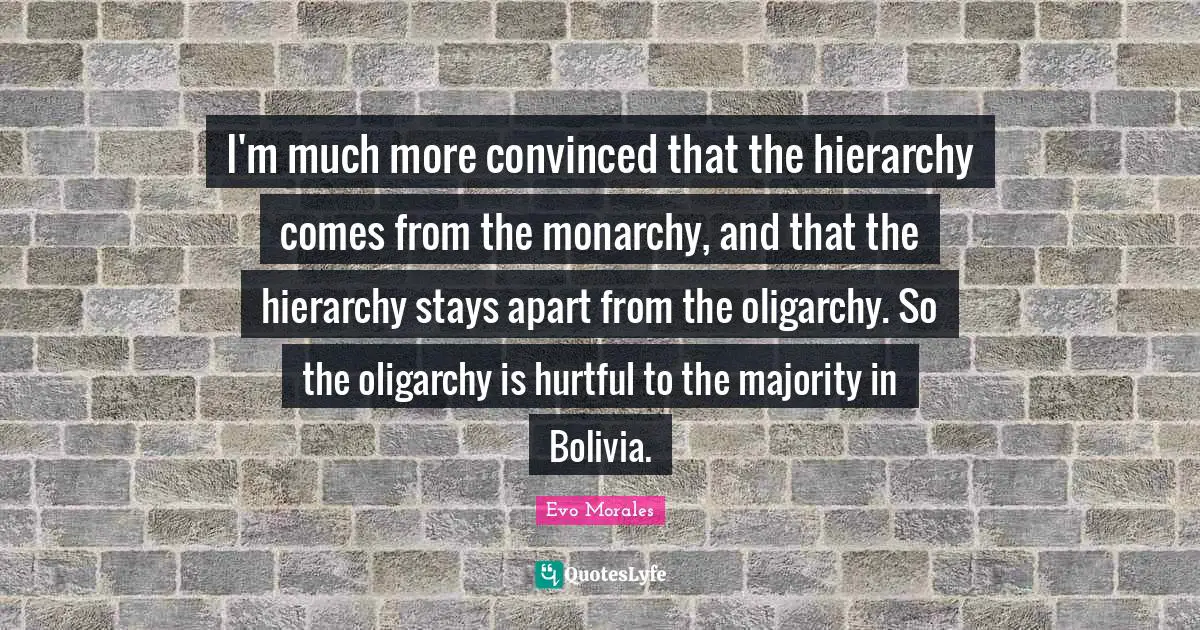 I'm much more convinced that the hierarchy comes from the monarchy, and that the hierarchy stays apart from the oligarchy. So the oligarchy is hurtful to the majority in Bolivia.