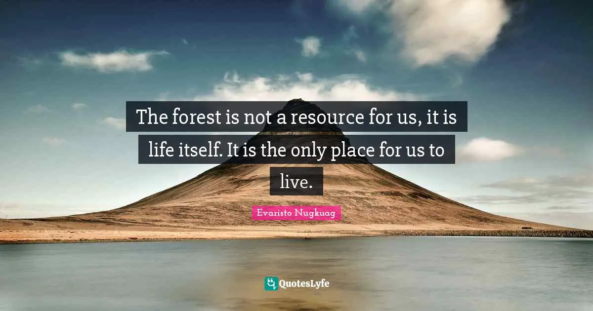 The forest is not a resource for us, it is life itself. It is the only place for us to live.
