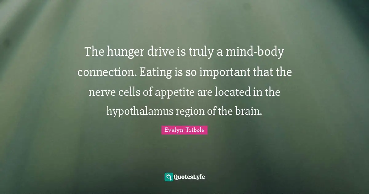 The hunger drive is truly a mind-body connection. Eating is so important that the nerve cells of appetite are located in the hypothalamus region of the brain.