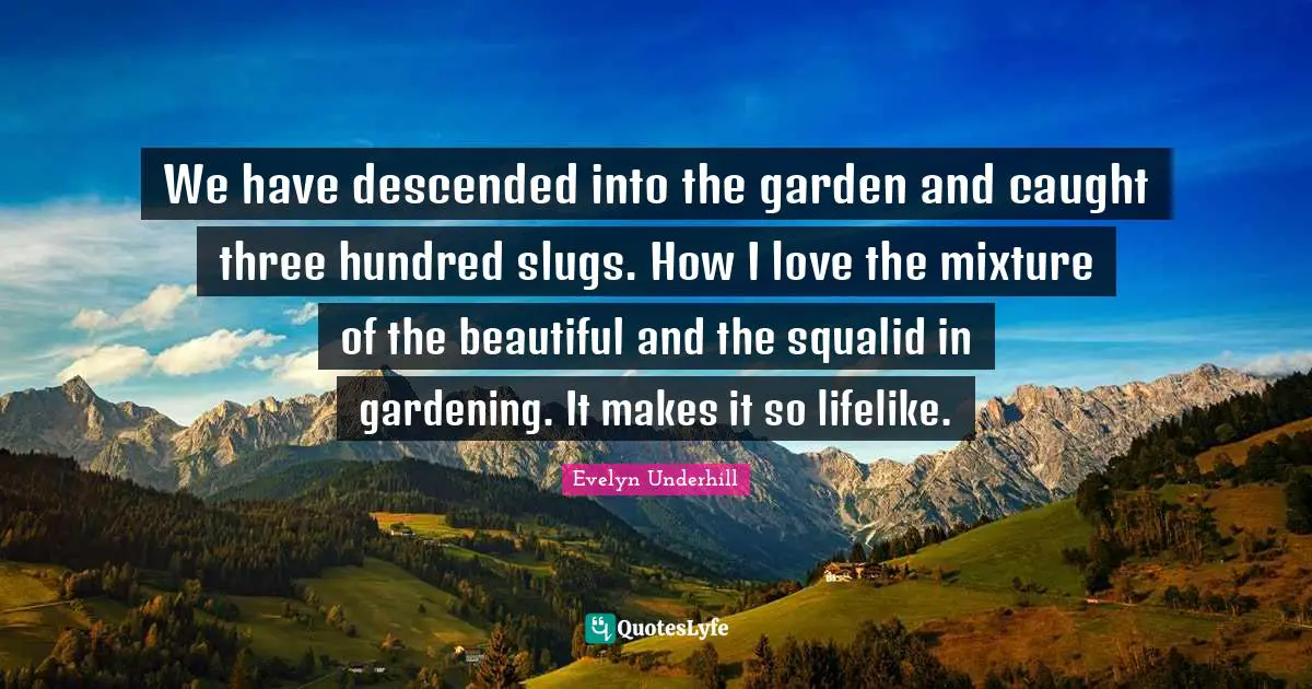 We have descended into the garden and caught three hundred slugs. How I love the mixture of the beautiful and the squalid in gardening. It makes it so lifelike.