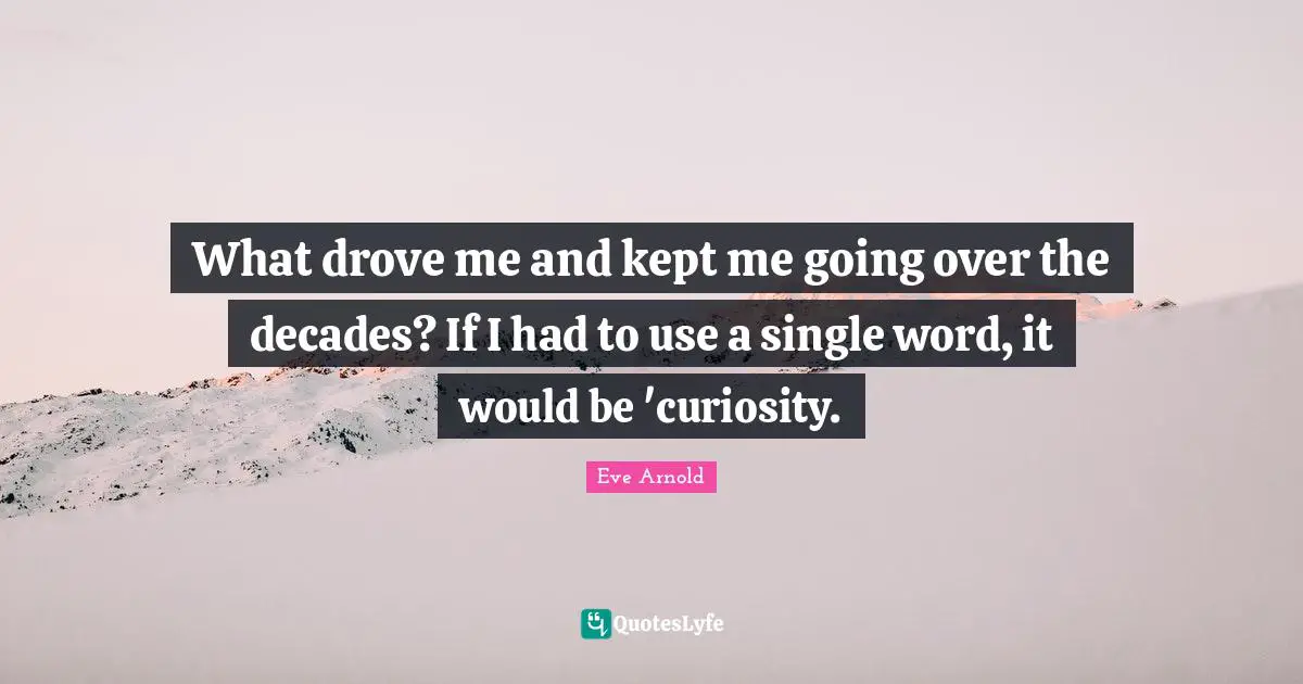 What drove me and kept me going over the decades? If I had to use a single word, it would be 'curiosity.