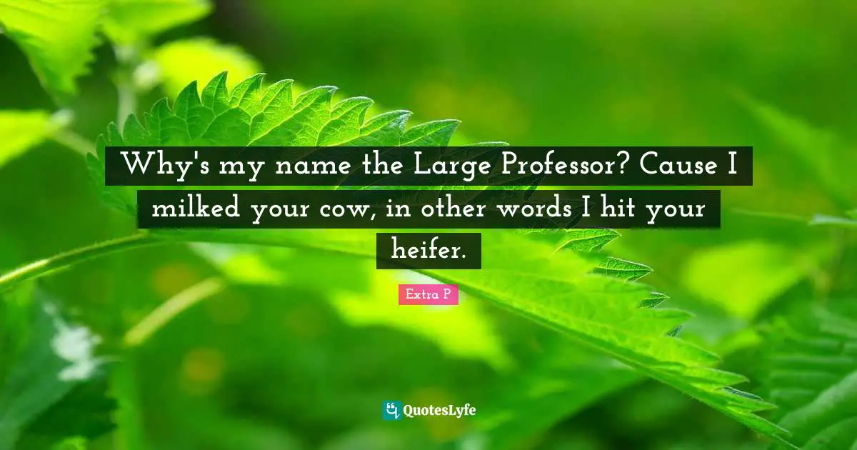 Why's my name the Large Professor? Cause I milked your cow, in other words I hit your heifer.