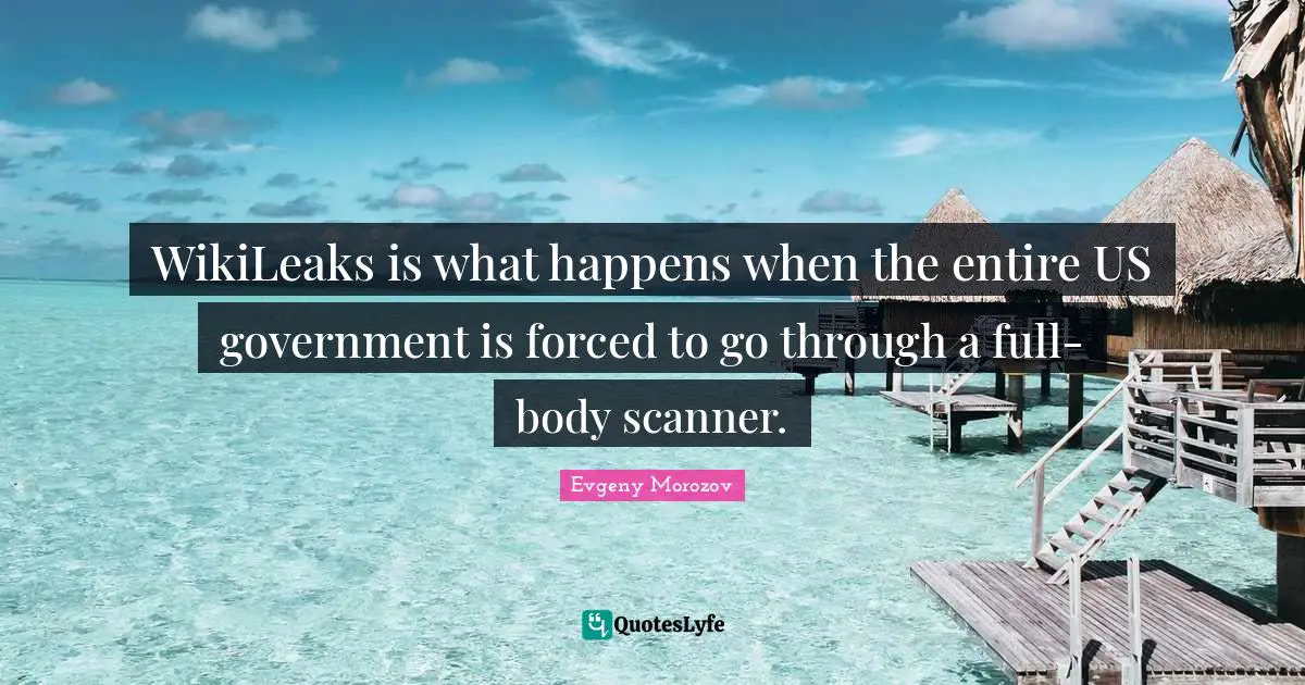 WikiLeaks is what happens when the entire US government is forced to go through a full-body scanner.