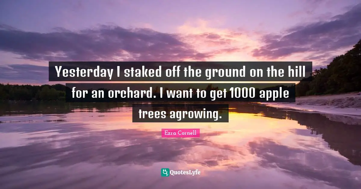 Yesterday I staked off the ground on the hill for an orchard. I want to get 1000 apple trees agrowing.