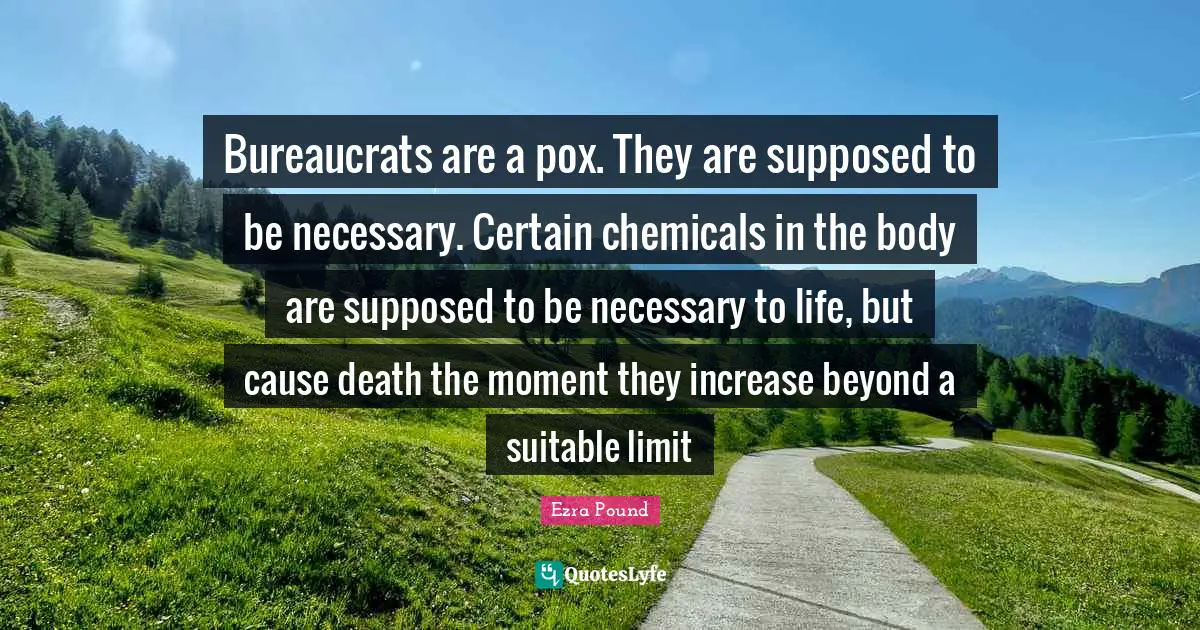 Bureaucrats are a pox. They are supposed to be necessary. Certain chemicals in the body are supposed to be necessary to life, but cause death the moment they increase beyond a suitable limit