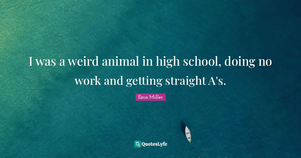 I was a weird animal in high school, doing no work and getting straight A's.