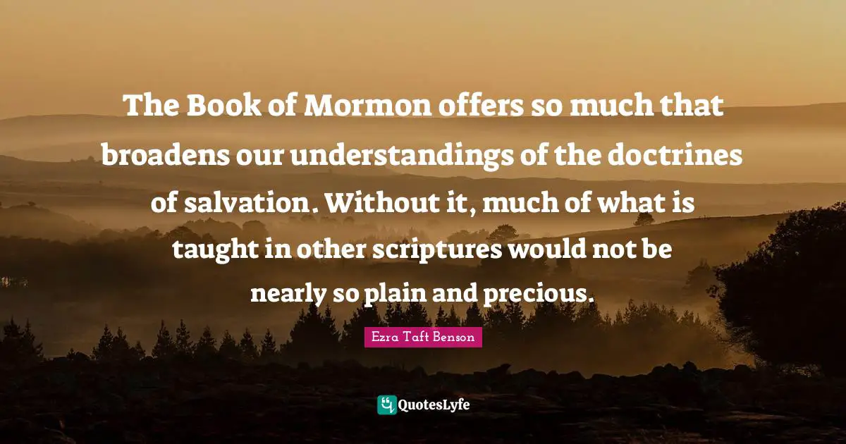 The Book of Mormon offers so much that broadens our understandings of the doctrines of salvation. Without it, much of what is taught in other scriptures would not be nearly so plain and precious.