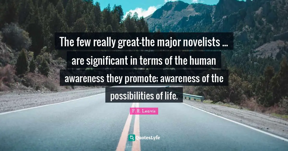 The few really great-the major novelists ... are significant in terms of the human awareness they promote; awareness of the possibilities of life.