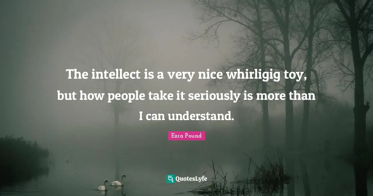 The intellect is a very nice whirligig toy, but how people take it seriously is more than I can understand.