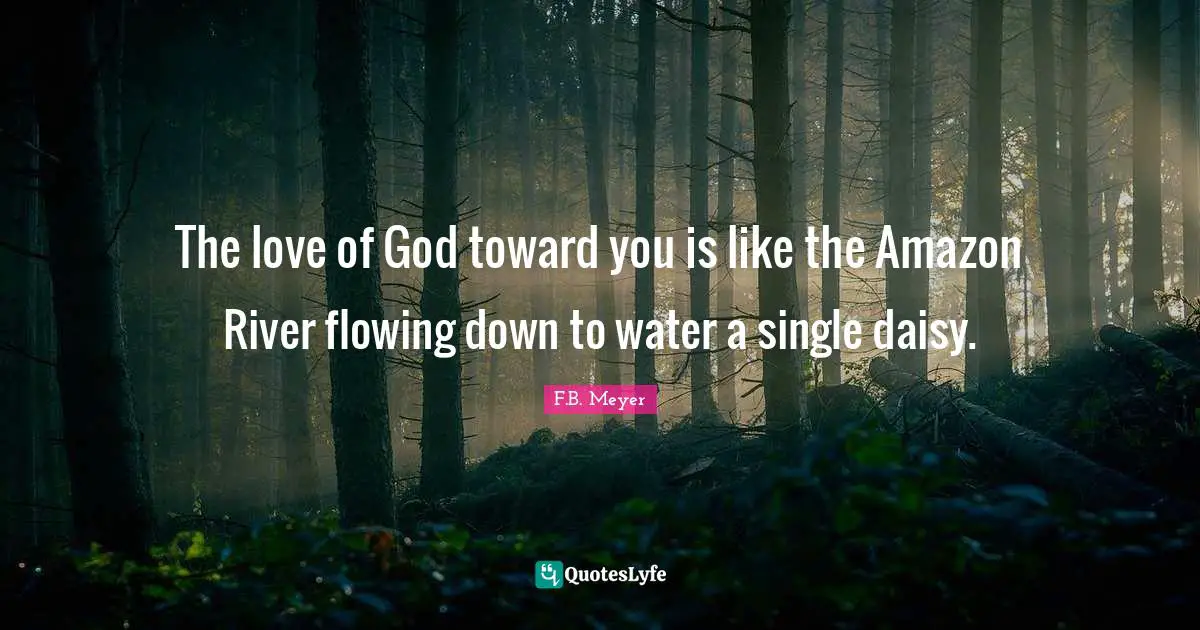 The love of God toward you is like the Amazon River flowing down to water a single daisy.