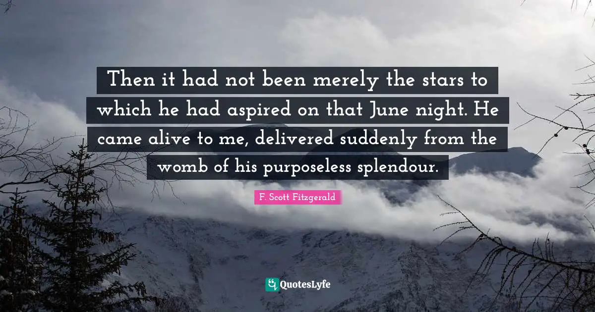 Then it had not been merely the stars to which he had aspired on that June night. He came alive to me, delivered suddenly from the womb of his purposeless splendour.