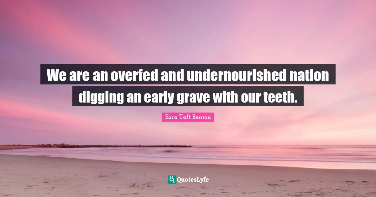 We are an overfed and undernourished nation digging an early grave with our teeth.