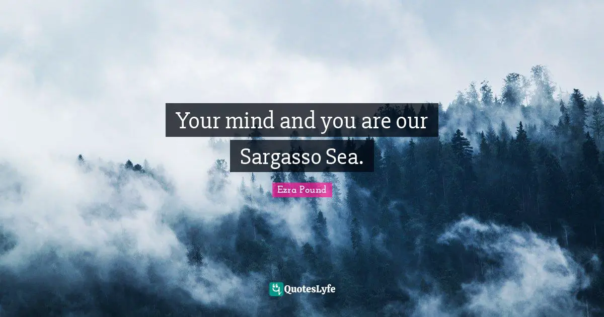 Your mind and you are our Sargasso Sea.