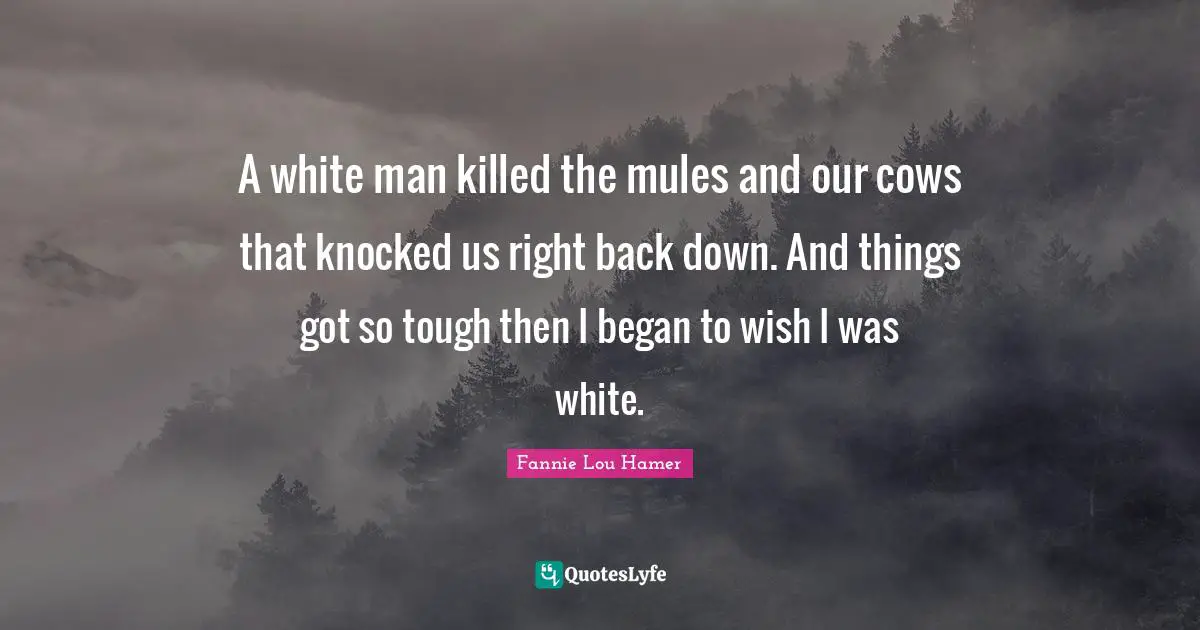 Fannie Lou Hamer Quotes: "A white man killed the mules and our cows that knocked us right back down. And things got so tough then I began to wish I was white."