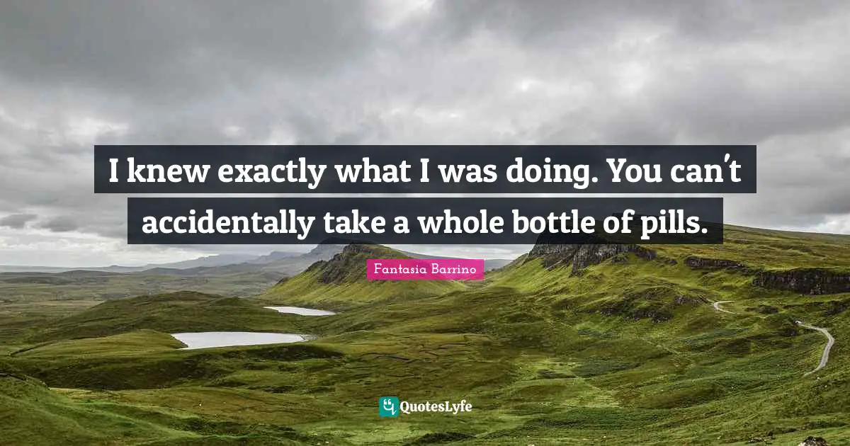 I knew exactly what I was doing. You can't accidentally take a whole bottle of pills.