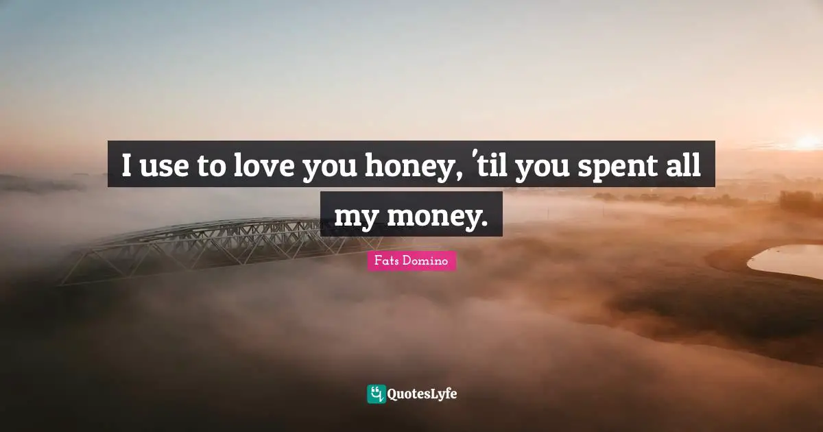 Honey Quotes: "I use to love you honey, 'til you spent all my money."