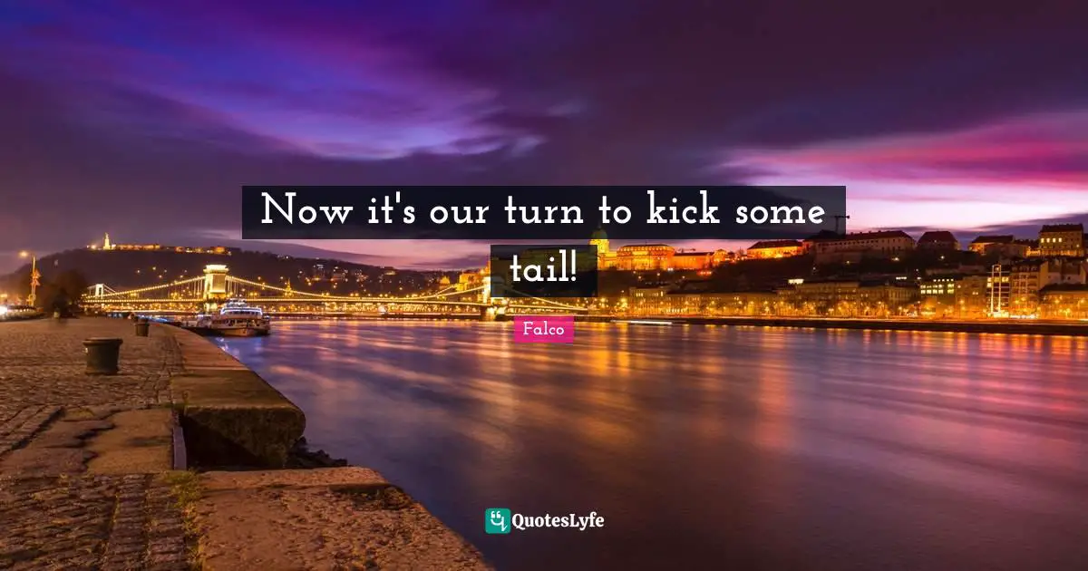 Now it's our turn to kick some tail!