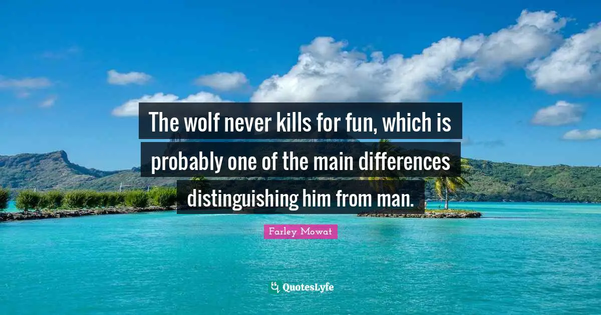 Farley Mowat Quotes: "The wolf never kills for fun, which is probably one of the main differences distinguishing him from man."