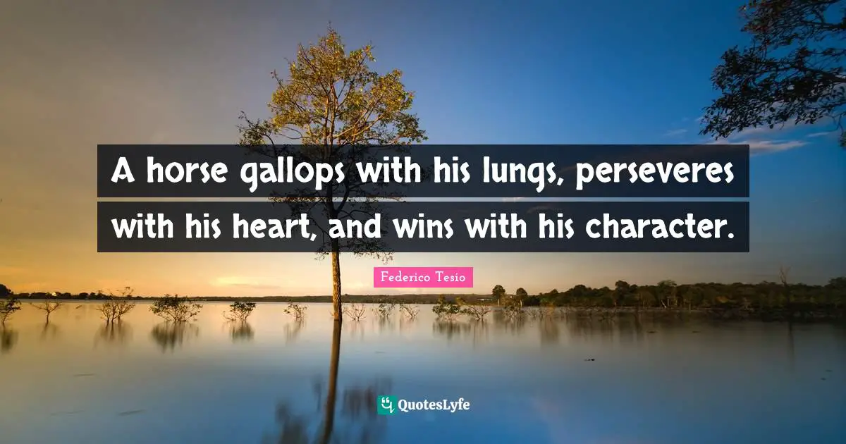 A horse gallops with his lungs, perseveres with his heart, and wins with his character.