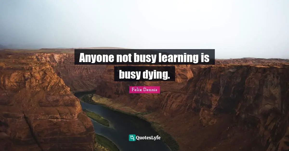 Anyone not busy learning is busy dying.