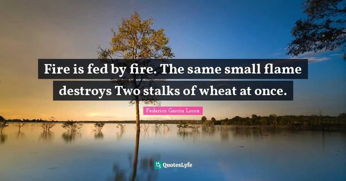 Fire is fed by fire. The same small flame destroys Two stalks of wheat at once.