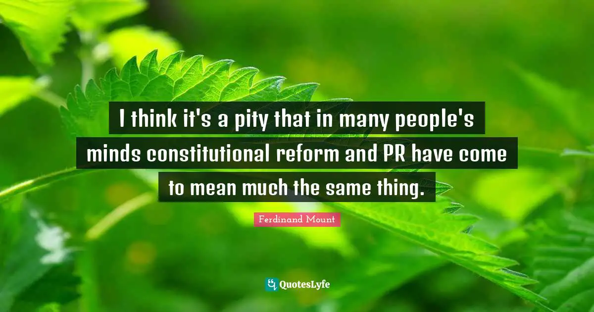 Ferdinand Mount Quotes: "I think it's a pity that in many people's minds constitutional reform and PR have come to mean much the same thing."