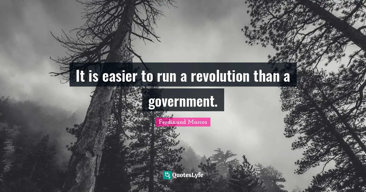 It is easier to run a revolution than a government.