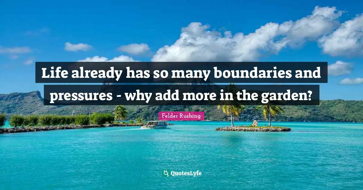 Life already has so many boundaries and pressures - why add more in the garden?