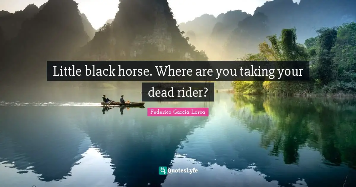 Little black horse. Where are you taking your dead rider?