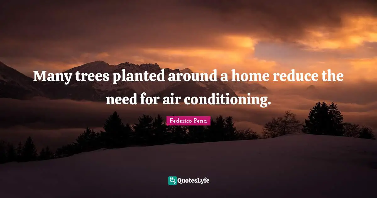 Many trees planted around a home reduce the need for air conditioning.