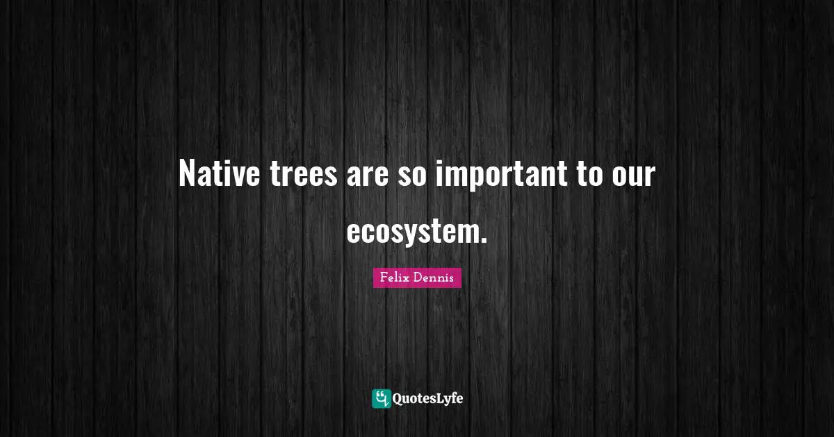 Ecosystems Quotes: "Native trees are so important to our ecosystem."