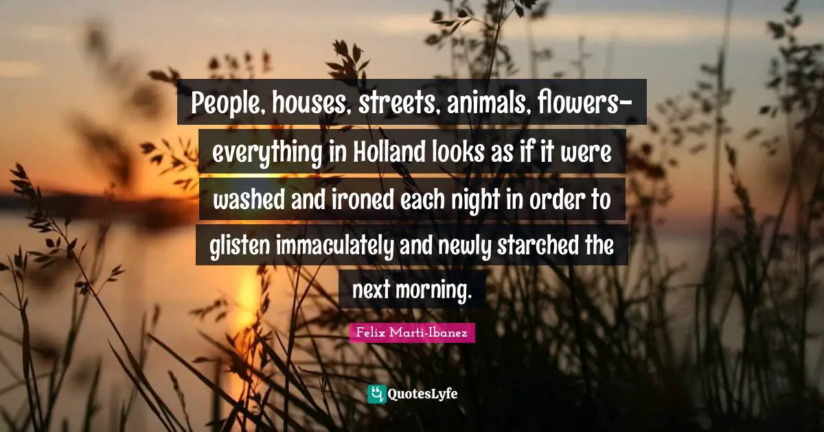 People, houses, streets, animals, flowers-everything in Holland looks as if it were washed and ironed each night in order to glisten immaculately and newly starched the next morning.