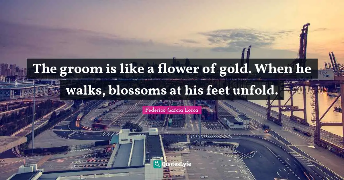 The groom is like a flower of gold. When he walks, blossoms at his feet unfold.
