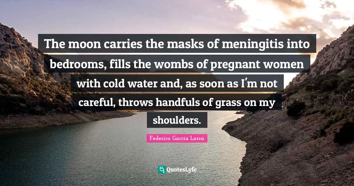Pregnant Women Quotes: "The moon carries the masks of meningitis into bedrooms, fills the wombs of pregnant women with cold water and, as soon as I'm not careful, throws handfuls of grass on my shoulders."
