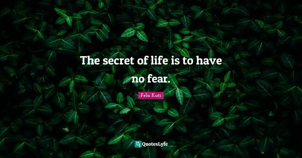 Life Is Quotes: "The secret of life is to have no fear."