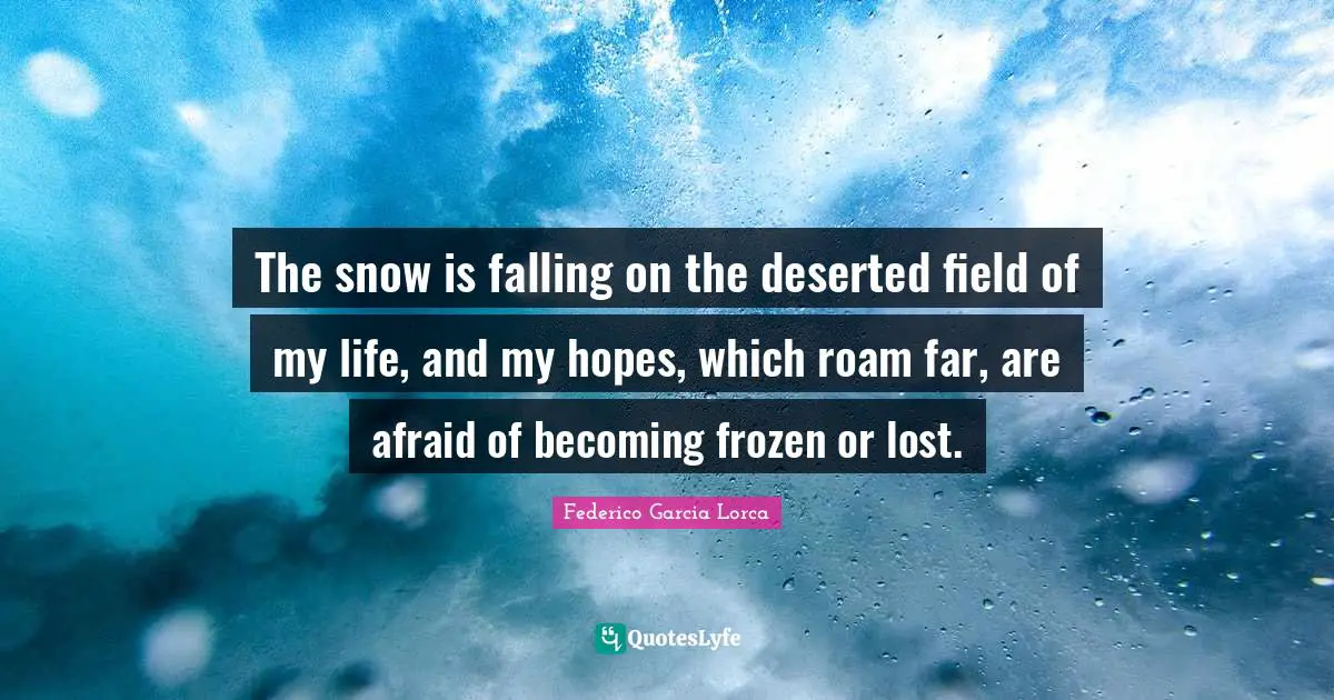 The snow is falling on the deserted field of my life, and my hopes, which roam far, are afraid of becoming frozen or lost.