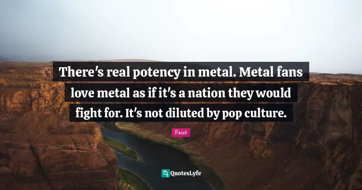 There's real potency in metal. Metal fans love metal as if it's a nation they would fight for. It's not diluted by pop culture.
