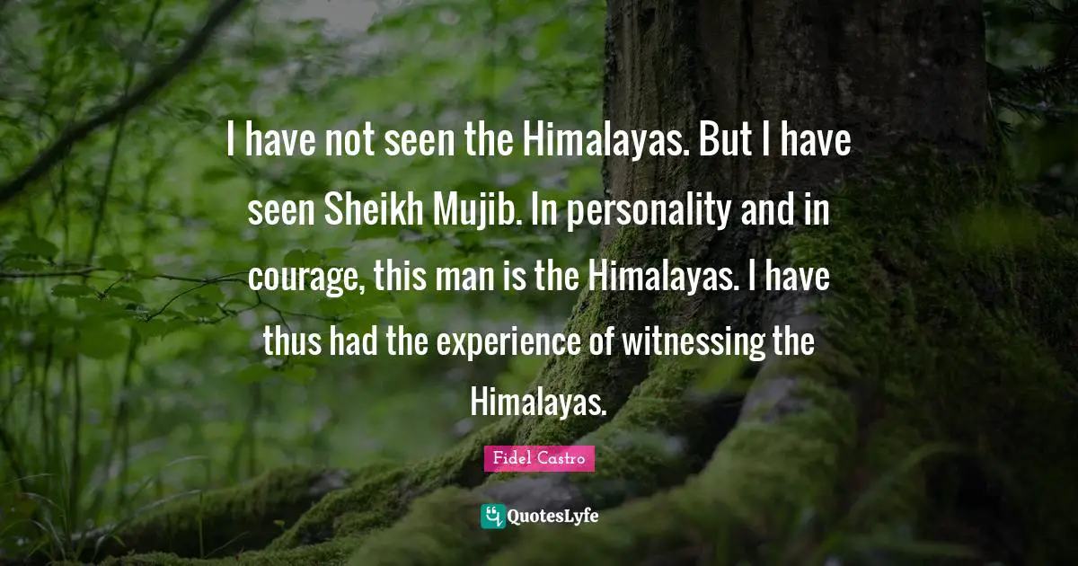 I have not seen the Himalayas. But I have seen Sheikh Mujib. In personality and in courage, this man is the Himalayas. I have thus had the experience of witnessing the Himalayas.