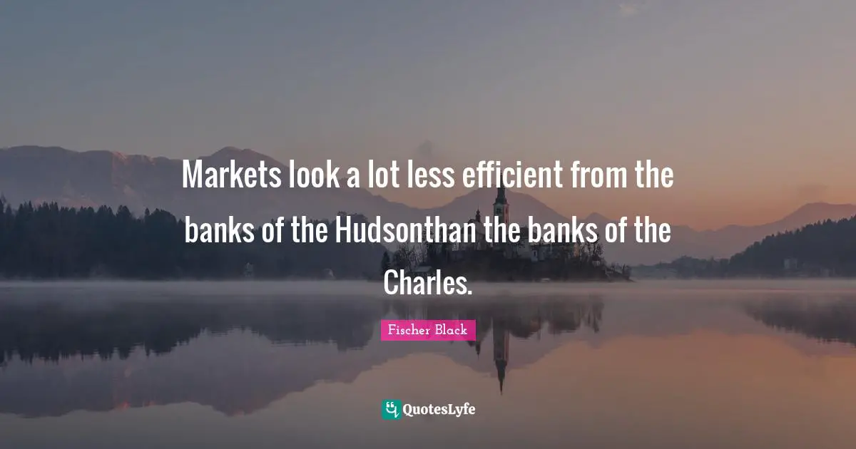 Markets look a lot less efficient from the banks of the Hudsonthan the banks of the Charles.