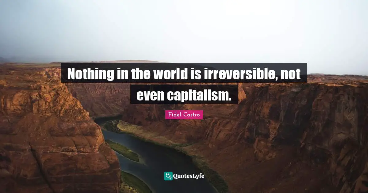 Irreversible Quotes: "Nothing in the world is irreversible, not even capitalism."