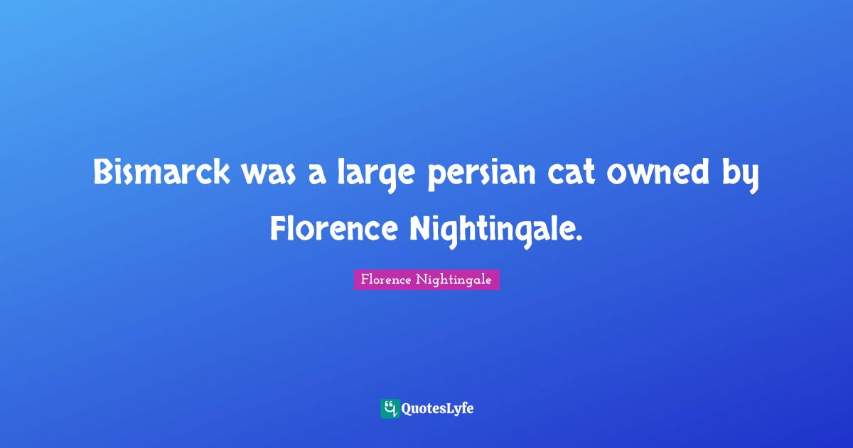 Persian Quotes: "Bismarck was a large persian cat owned by Florence Nightingale."
