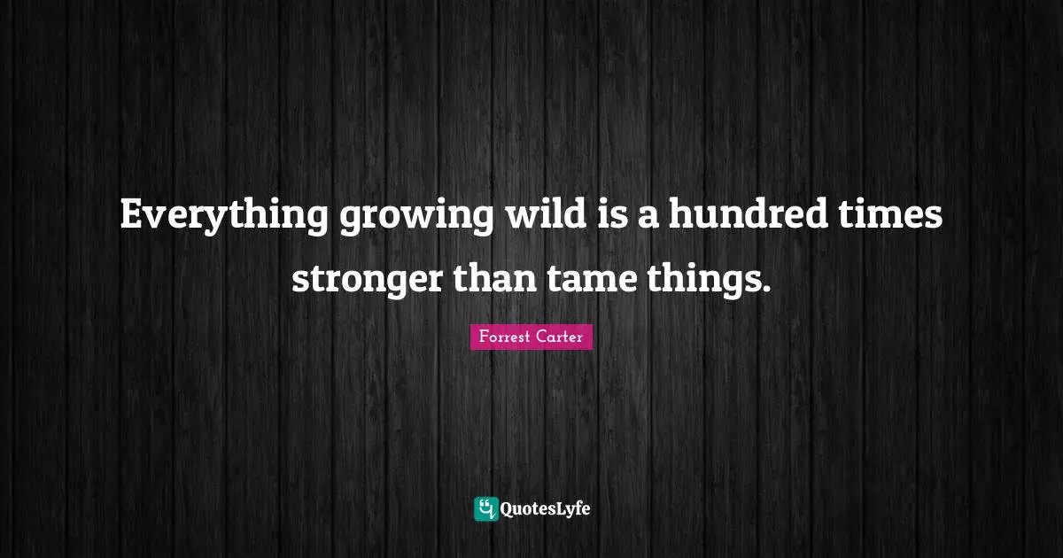 Everything growing wild is a hundred times stronger than tame things.