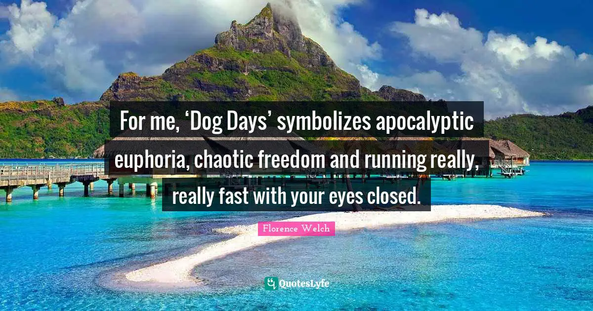 For me, ‘Dog Days’ symbolizes apocalyptic euphoria, chaotic freedom and running really, really fast with your eyes closed.